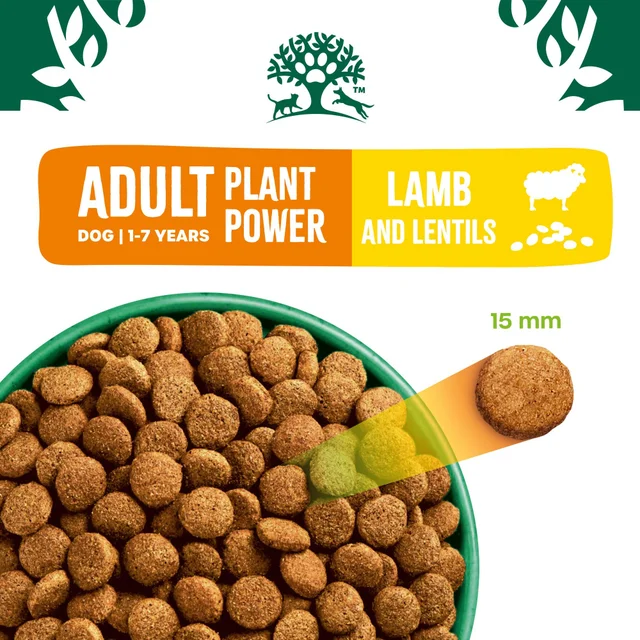 Adult Lamb Dry Dog Food Plant Power